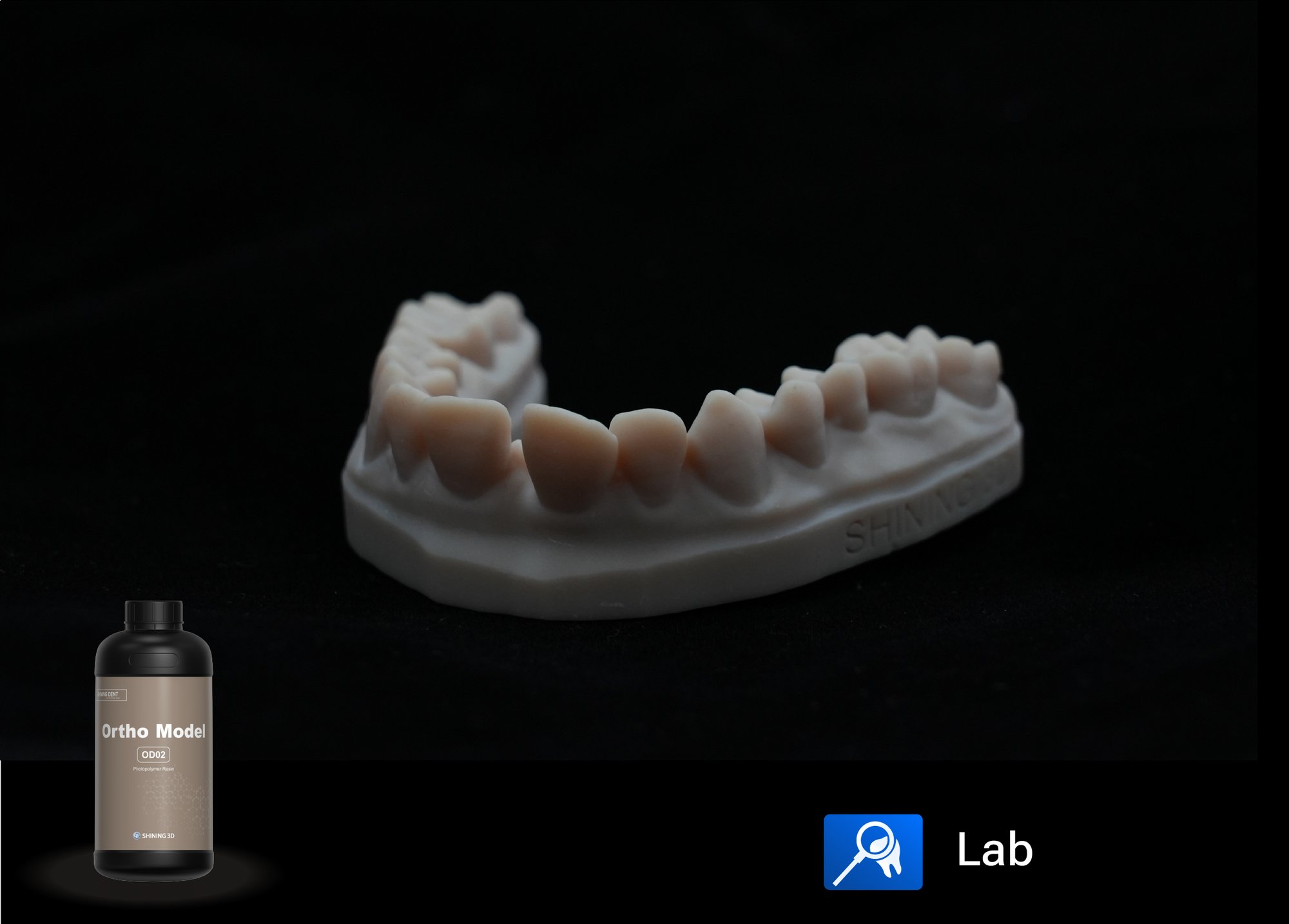 блестящая 3d ортопедическая модель 3D печать смолы